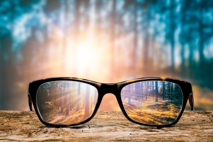 Glasses with trees in the background